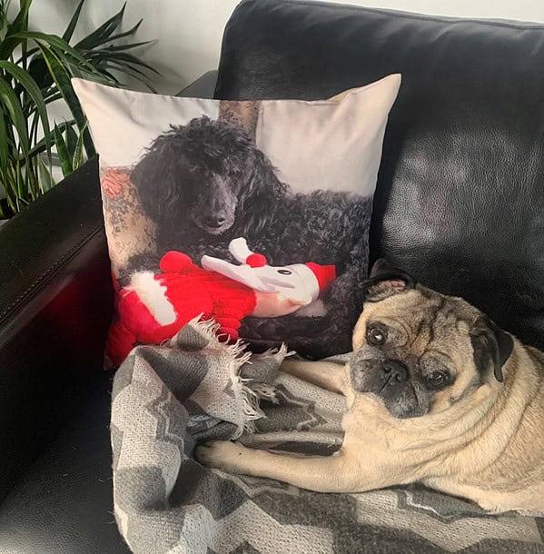 Christmas Pillows. Personalised Pet Memorial Gifts.