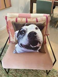 Custom Pet Pillows Australia. Photo cushions of your beloved pet.