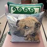 Pet Loss. Beautiful personalised cushions and pillows to treasure your beloved pet