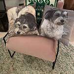 Pillows with Pet Pictures. Photo cushions to treasure your pet.