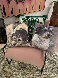 Pillows with Pet Pictures.  Photo cushions to treasure your pet.