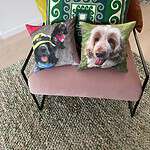 Custom Pet Pillow Australia. Personalised Pet Cushions.