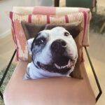 Custom Pet Pillows Australia. Photo cushions of your beloved pet.