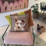 Pet Memorial Ideas. Pet Lovers Gift. Pet Memorial Gifts Australia. Photo cushion.