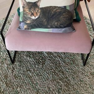 Cat Memorial. Cat Lovers Gift. Custom Cat Pillows. Cat Lovers Photo Pillows.