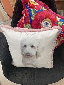 Personalised Dog Pillow