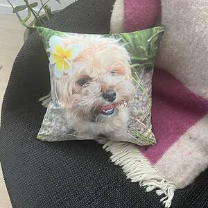 Pet Portrait Cushions and Pillows Australia