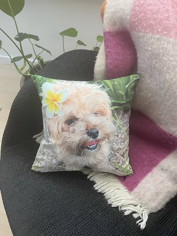 Pet Portrait Cushions and Pillows Australia