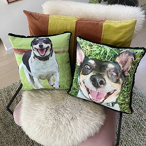Pet Loss cushions