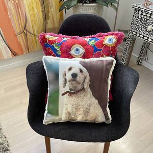 Pet Photo pillows and cushions of your dog