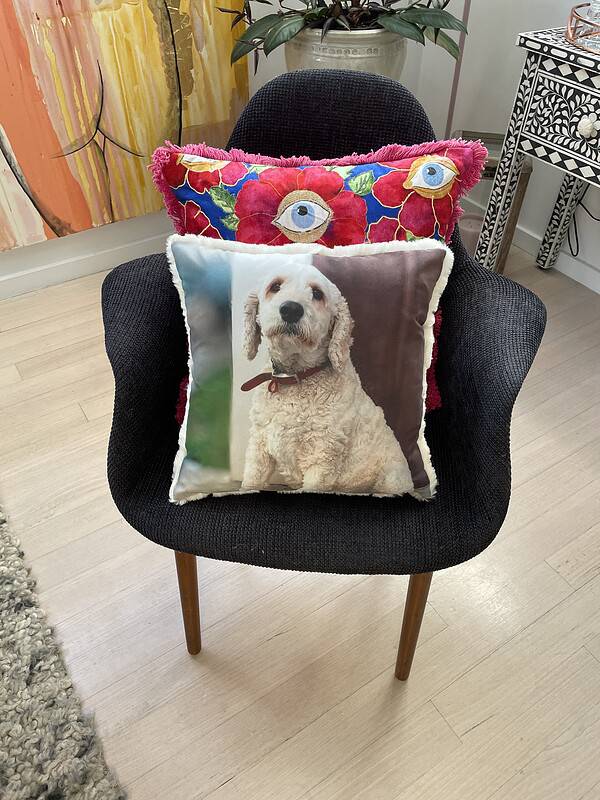 Pet Photo pillows and cushions of your dog
