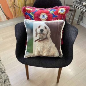 Pet Photo pillows and cushions of your dog