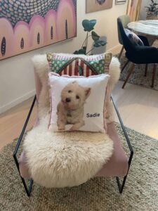 Personalised Dog Cushion. Dog pillow.