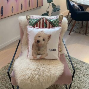 Personalised Dog Cushion. Dog pillow.