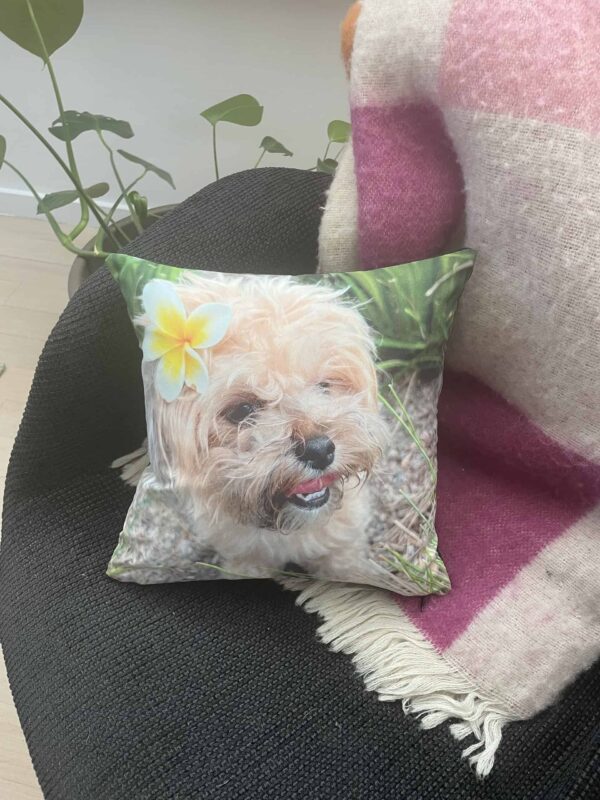 Pet Portrait Cushions and Pillows Australia