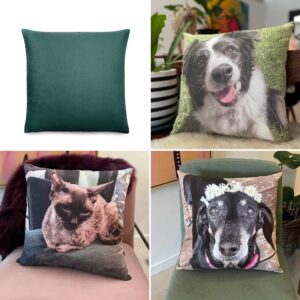 Pillow Pet Australia