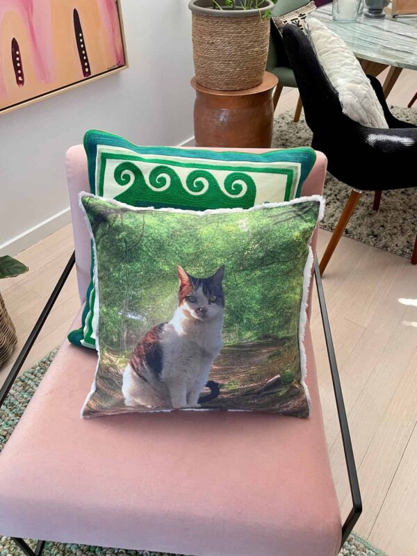 Cat Lovers Pillow Gift ideas