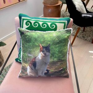 Cat Memorial, Cat Lovers Gifts, Cat Pillows, Cat Photo Cushions