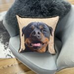 Dog Memorial Gifts, Unique pet memorials