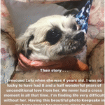 Personalised Photo Pillows