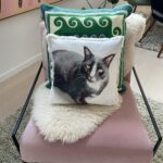 Pet Memorial Gifts photo pillows
