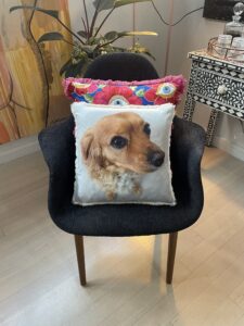 Dog Memorial