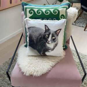 Cat Memorial Photo Pillow