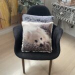Pet Memorial Gifts. Pet Memorial photo cushions