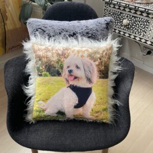 Memory Pet Gifts
