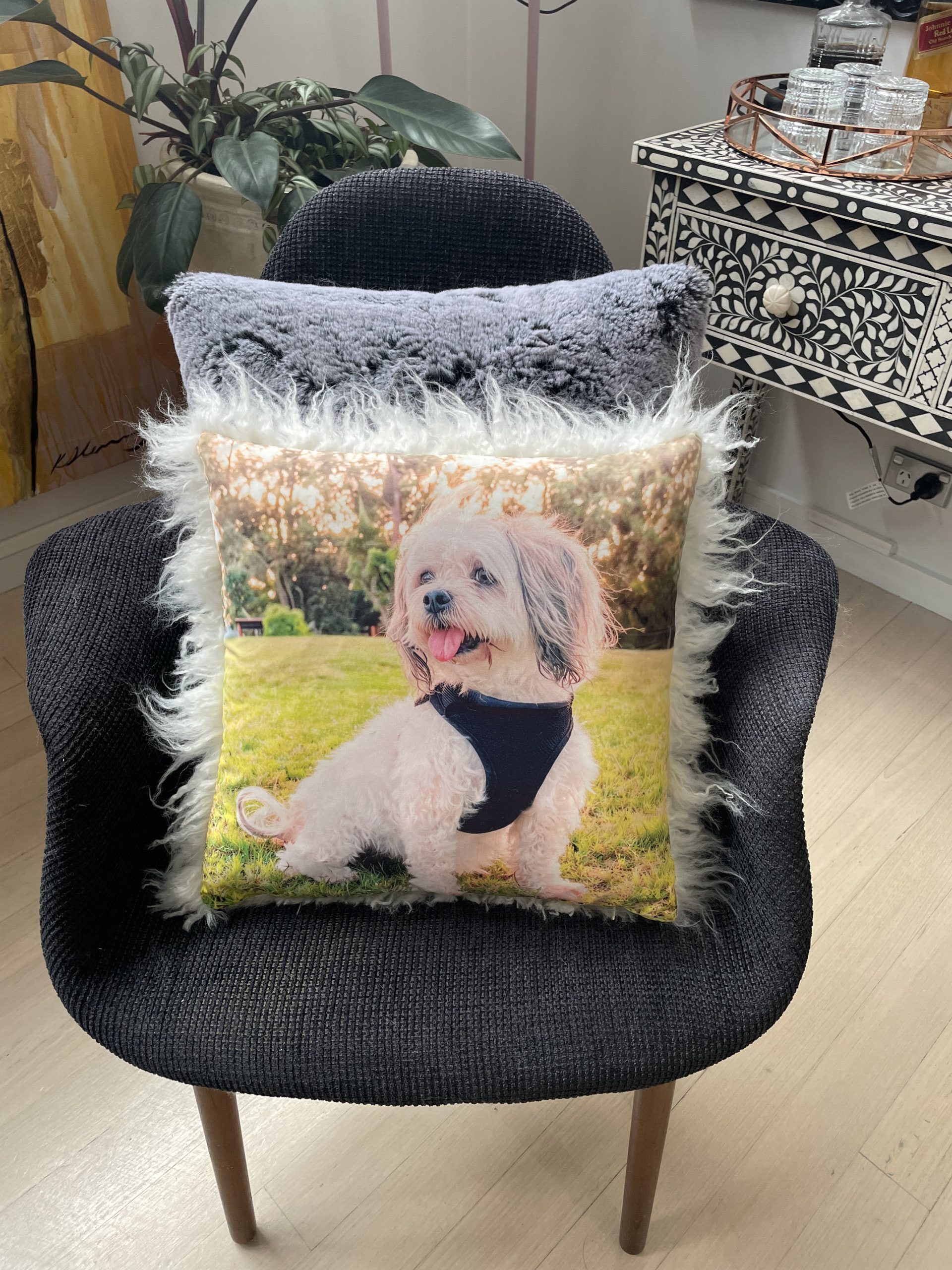 Memory Pet Gifts