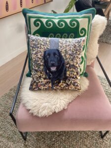 Pet Loss Gifts Australia