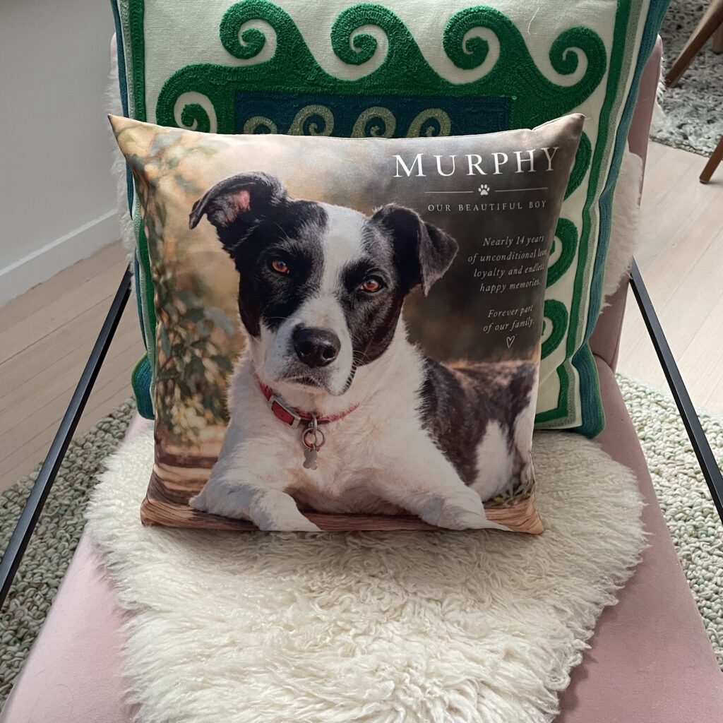 Appropriate gift when a pet dies
