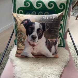 Appropriate gift when a pet dies
