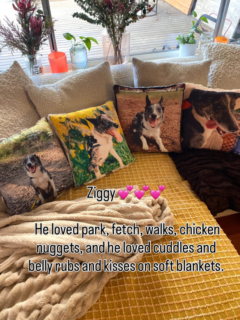 Pet Memorial Gift Ideas for Dog & Cat Lovers